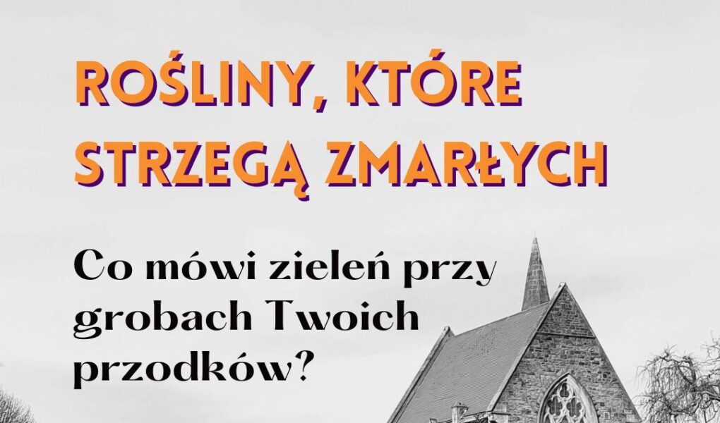 zieleń na grobach