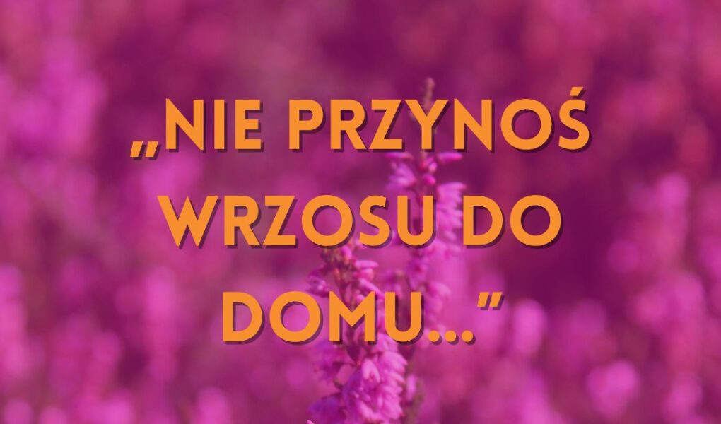wrzos przesądy