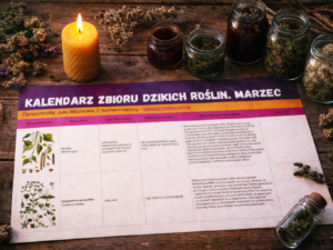 kalendarz zbioru roślin