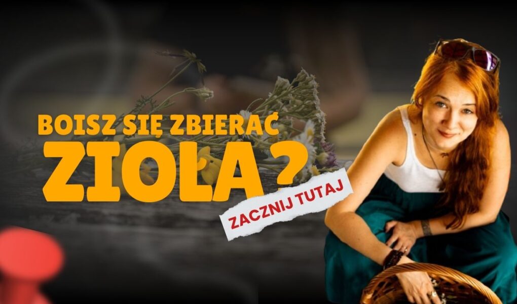 jak zacząć zbierać zioła