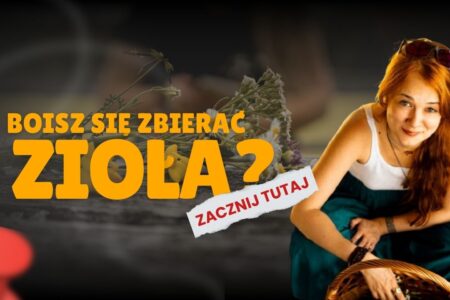 jak zacząć zbierać zioła