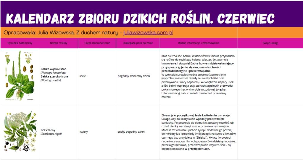 kalendarz zbioru roślin